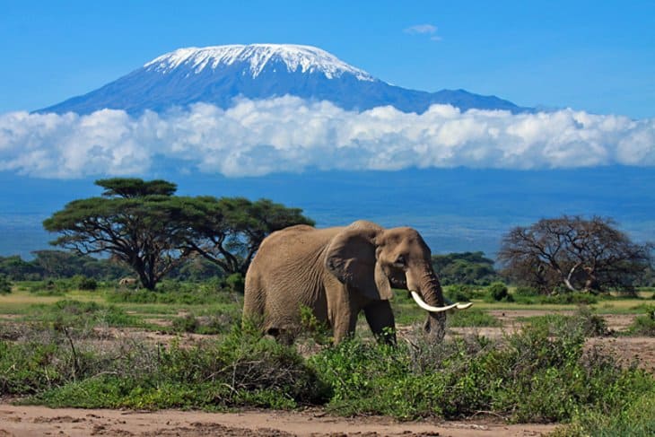 Tanzania Travel Insurance