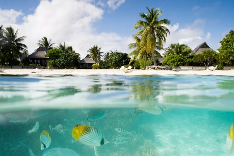 French Polynesia Travel Insurance