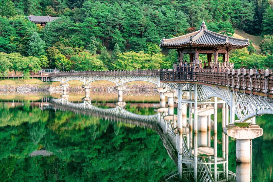 South Korea Travel Insurance<br />

