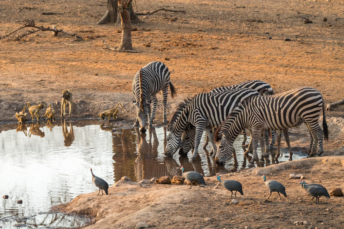Malawi Travel Insurance