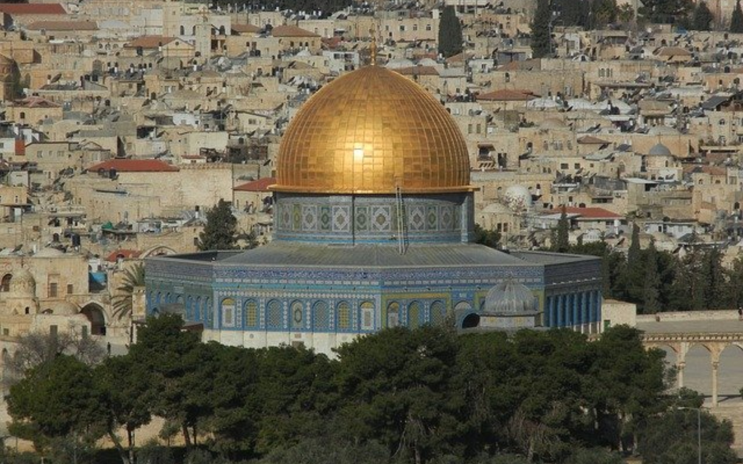 Palestine Travel Insurance