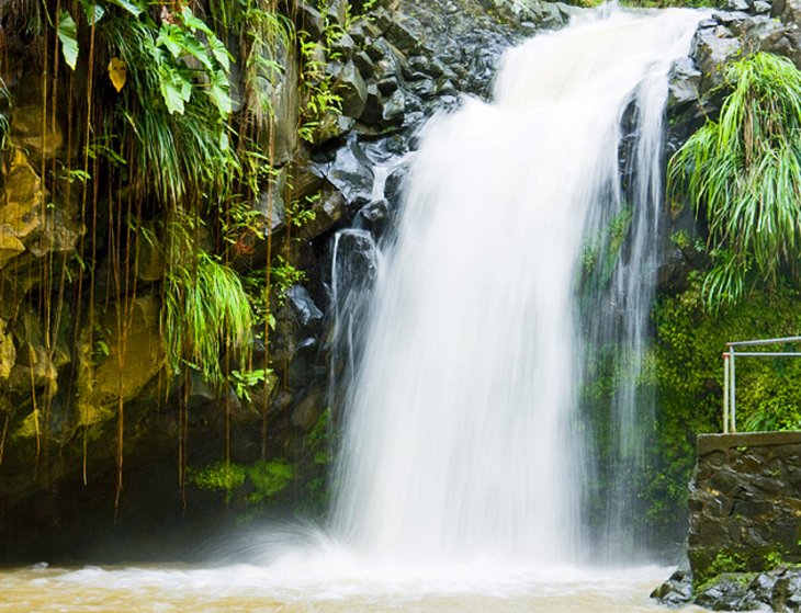 Grenada Travel Insurance
