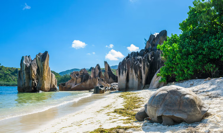 Seychelles Travel Insurance<br />
