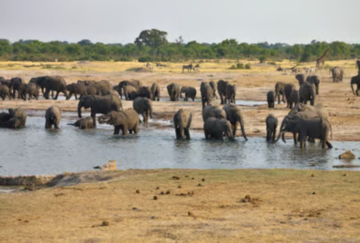 Zimbabwe Travel Insurance<br />

