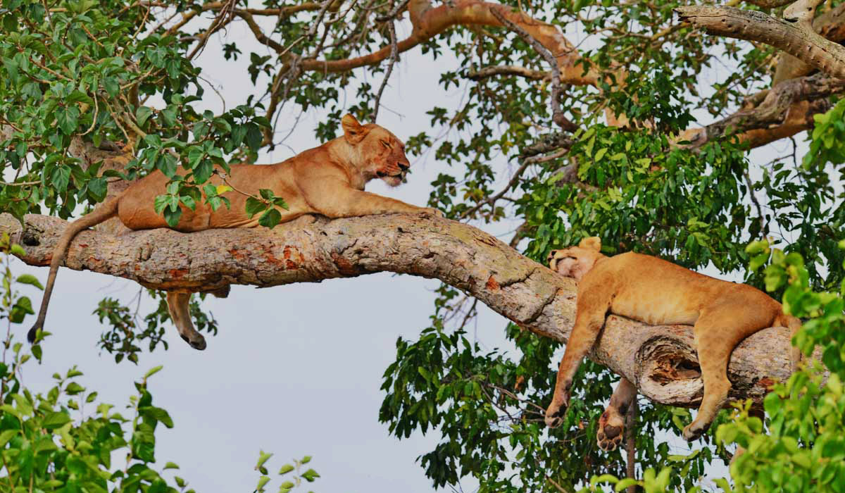 Uganda Travel Insurance<br />
