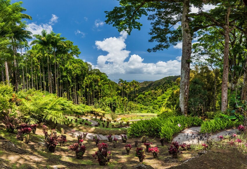 Martinique Travel Insurance<br />
