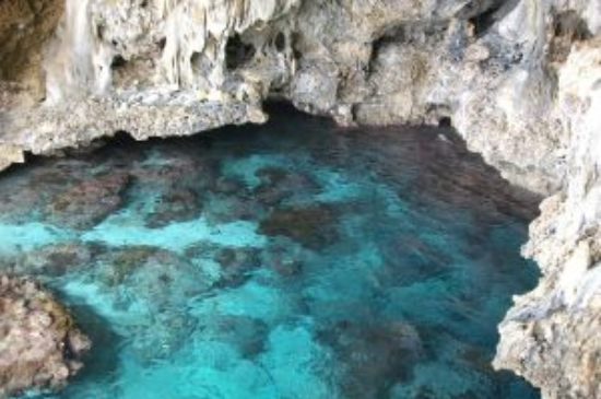 Niue Travel Insurance<br />
