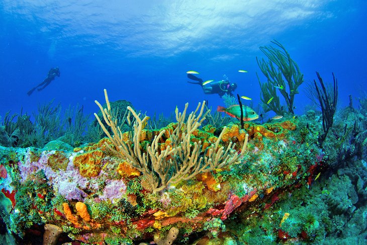 Sint Eustatius Travel Insurance<br />
