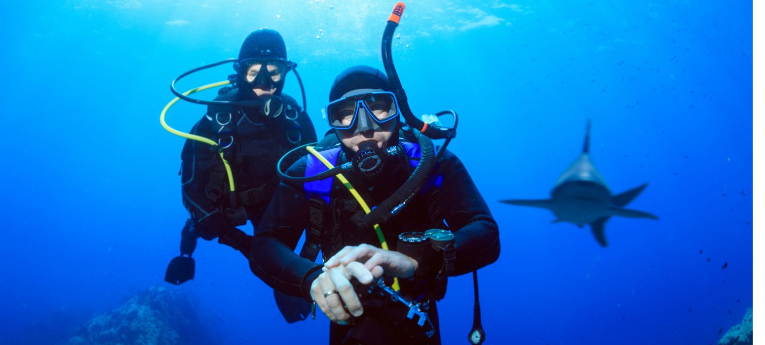 6 scuba drivers