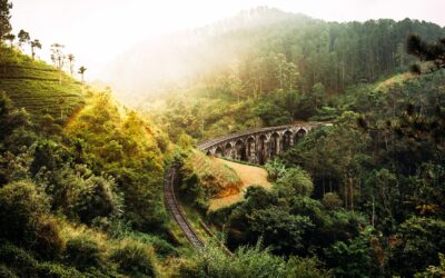 International Health Insurance Sri Lanka: Plans for Long-Term Visitors & Expats