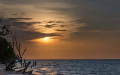 Is Travel Insurance Required for Suriname? Entry Requirements & Cover